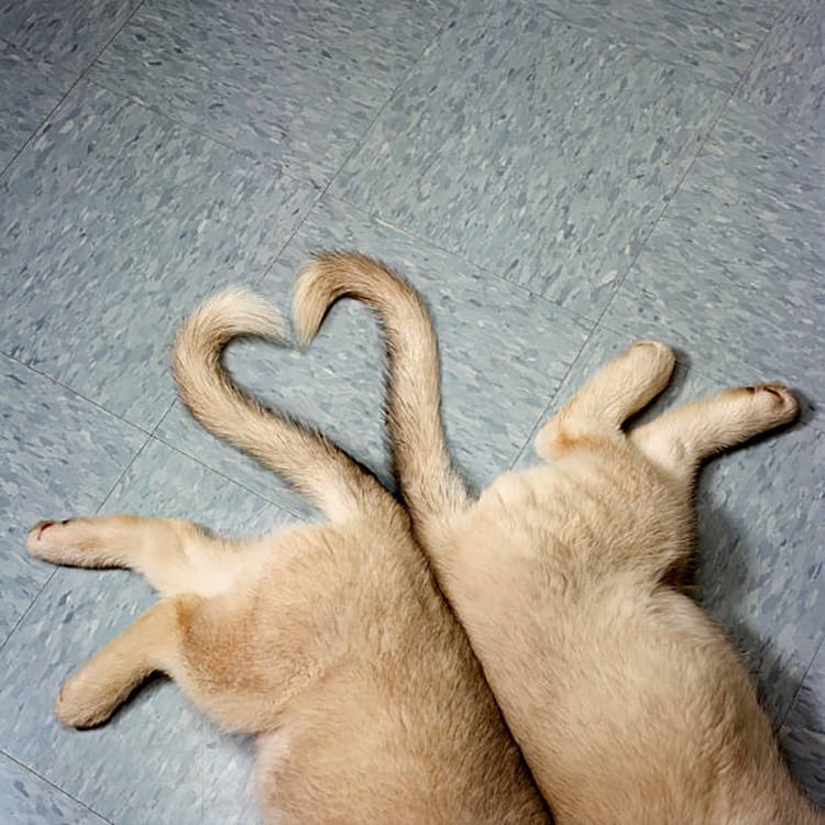 ヘヤーサロン ますざわ